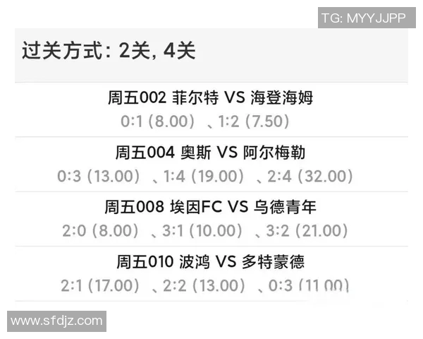 2018年菲尔特与波鸿激战回顾：精彩瞬间与赛季影响分析