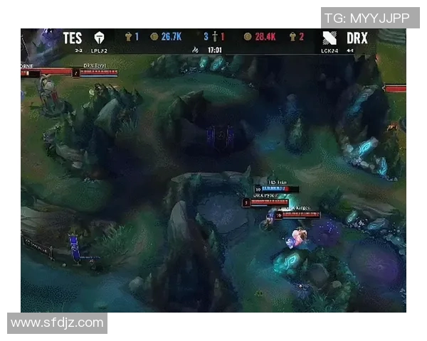 TES与DRX队内语音揭秘赛场背后的默契与策略分析