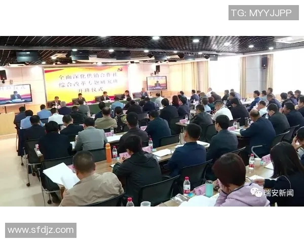 武汉排球队中路突破分析：成功与不足的全面探讨与反思