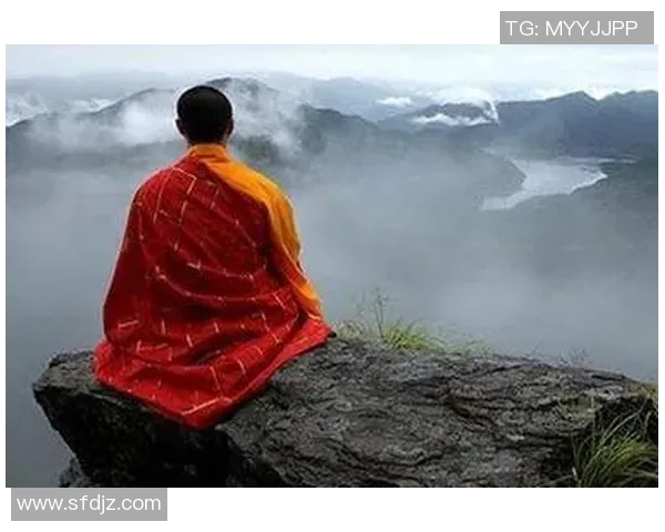 深度对话周军排球人生的坚持与梦想探索 深度对话周军排球人生的坚持与梦想探索