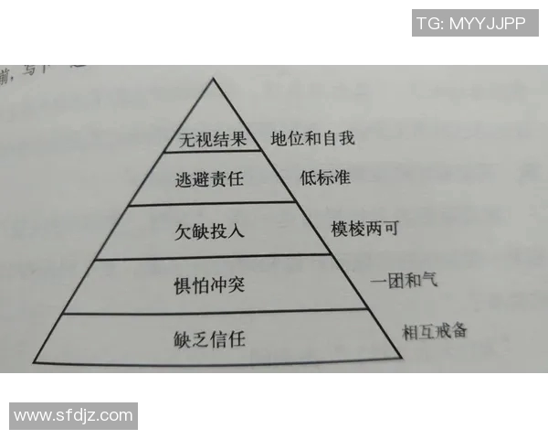 重庆羽毛球队在世锦赛中的团队协作表现分析与启示 重庆羽毛球队在世锦赛中的团队协作表现分析与启示