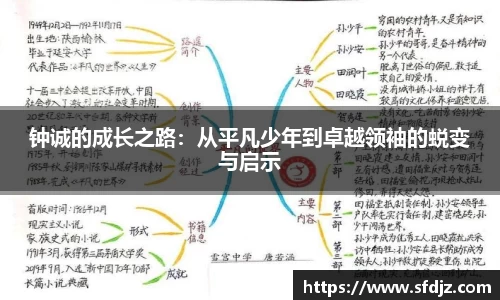 VSport胜利因您更精彩