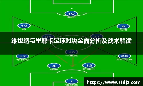 维也纳与里耶卡足球对决全面分析及战术解读